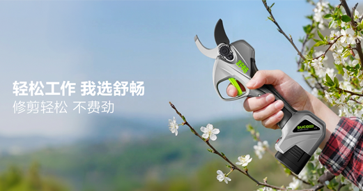 了解更多 了解更多